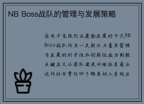 NB Boss战队的管理与发展策略